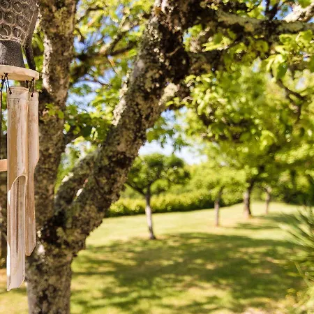 Sunny House With Private Pool Holiday home Nadaillac-de-Rouge